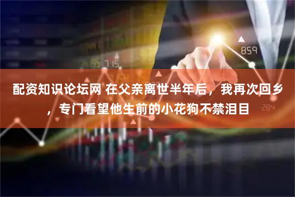 配资知识论坛网 在父亲离世半年后，我再次回乡，专门看望他生前的小花狗不禁泪目