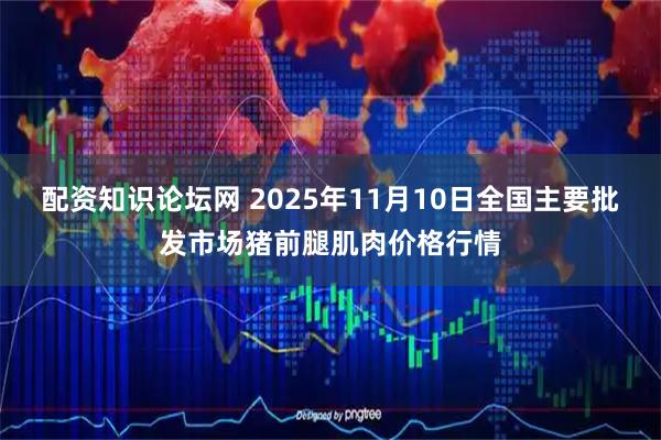 配资知识论坛网 2025年11月10日全国主要批发市场猪前腿肌肉价格行情